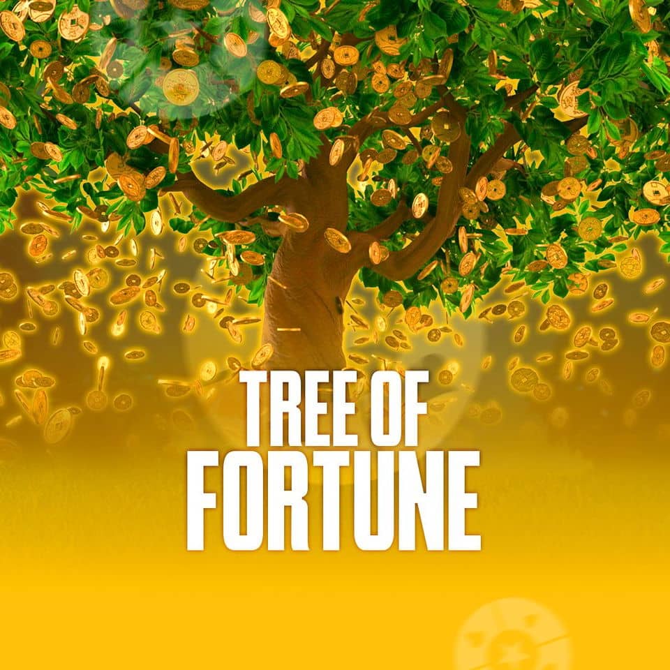 betfair video