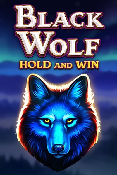 20 bet app