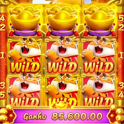 5567bet
