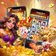 7p55bet com